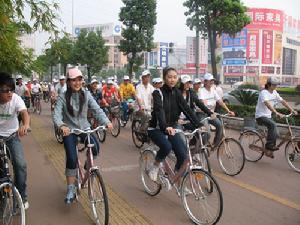 （圖）綠色交通