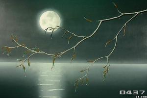 《玉京秋》 《玉京秋》