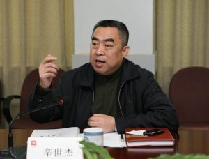 辛世傑[重慶市環境保護局局長]