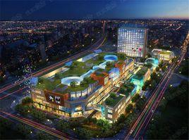 上海臨港寶龍廣場 上海臨港寶龍廣場