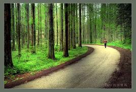 排牙山森林公園 排牙山森林公園