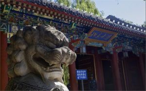 北京大學天價培訓班 北京大學天價培訓班