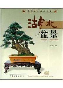 湖北盆景 湖北盆景