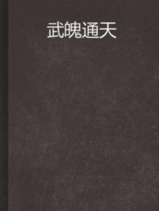 武魄通天 武魄通天