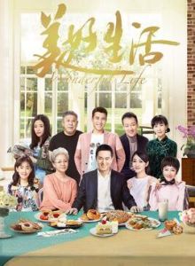 美好生活[2017年劉進執導電視劇]