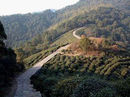 十里琅璫 十里琅璫