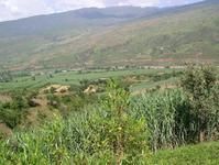 禾豐自然村 禾豐自然村