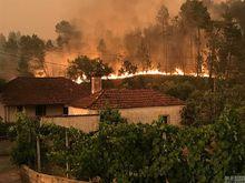 6·17葡萄牙森林火災