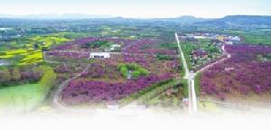 天王鎮[江蘇省句容市天王鎮]