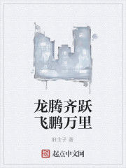 龍騰齊躍飛鵬萬里 龍騰齊躍飛鵬萬里