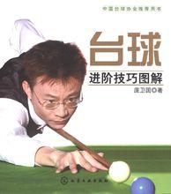 檯球進階技巧圖解 龐衛國
