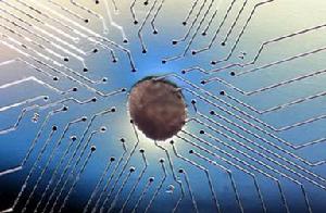 （圖）人工心臟瓣膜