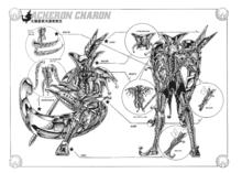 聖鬥士星矢[車田正美原作的漫畫]