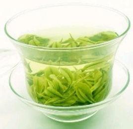 象園霧芽 象園霧芽