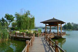 南池荷淨 南池荷淨