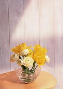 插花假水 插花假水