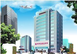 宜賓瑪利亞醫院 宜賓瑪利亞醫院