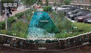 植草溝 植草溝