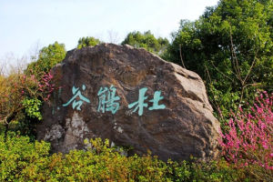 杜鵑谷[浙江省奉化溪口鎮杜鵑谷]