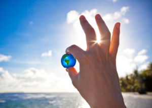 海洋環保組織 海洋環保組織