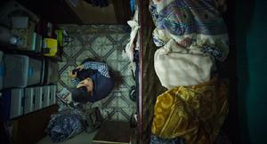 百科周觀影指南第39期