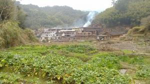 上杭坪畲村 上杭坪畲村