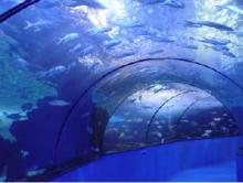 開封東京極地海洋館