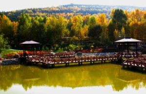 湟水森林公園 湟水森林公園