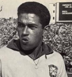 “小鳥”——加林查