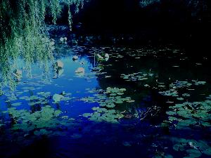 《荷塘月色》意境圖