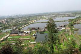 大嶺村[福建泉州安溪縣魁斗鎮下轄村]