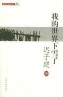 我的世界下雪了 我的世界下雪了