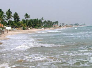 薩納加河 薩納加河