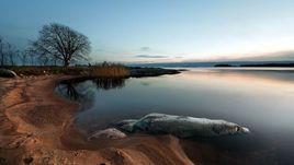 老鴉張村 老鴉張村