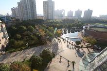 藍天下的實驗（中學部）