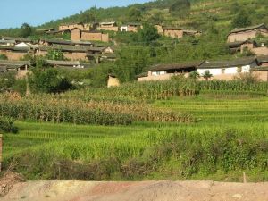 小達己村 小達己村