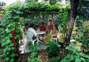 京東淘金谷歡樂農家