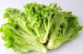 大利生菜 大利生菜