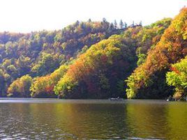 花山國家森林公園