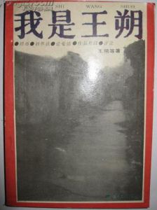 我是王朔 我是王朔