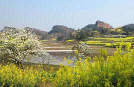 永興鎮[貴州湄潭縣永興鎮]