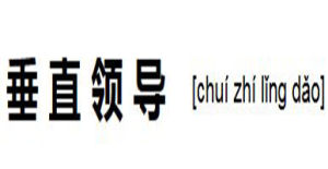 垂直領導 垂直領導