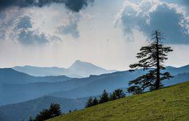 雲頂山[福建雲頂山]