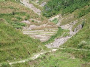 楊家地村 楊家地村