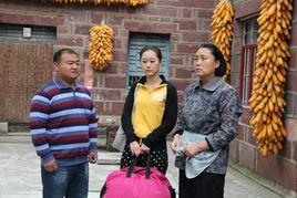 小鍋蓋當官 小鍋蓋當官