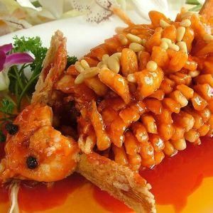 松鼠鱖魚 松鼠鱖魚