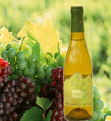 霞多麗乾白葡萄酒 霞多麗乾白葡萄酒