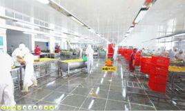 互動展示 互動展示