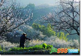 人間仙境 人間仙境