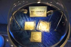 人工皮膚 人工皮膚